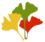 cropped cropped cropped drd health skills logo 300x300 removebg preview.png